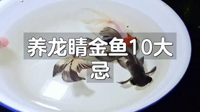 如何預防龍睛魚患病？（如何預防龍睛魚患病）
