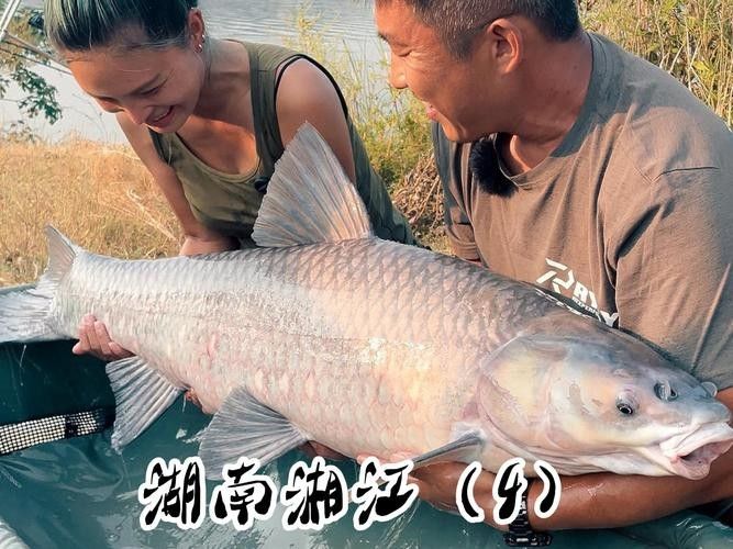 湘魚圖片大全（湖南特色菜之湘潭蒸熱魚）