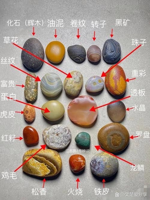 如何鑒別稀有品種的真偽（如何鑒別稀有品種的真偽？）
