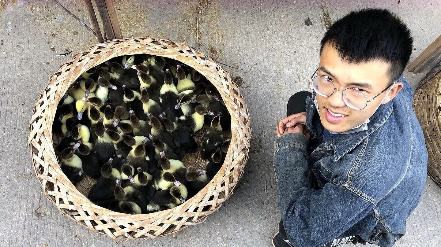 如何鑒別稀有品種的真偽（如何鑒別稀有品種的真偽？）