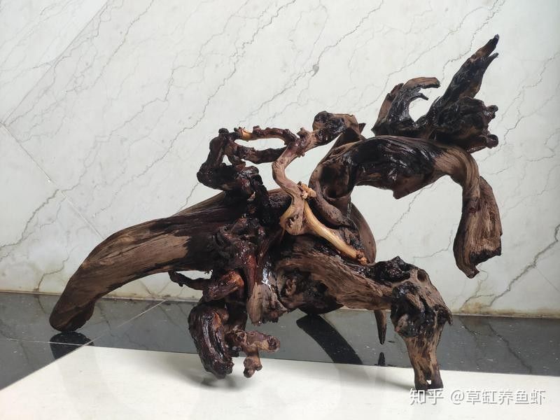 哪種沉木最適合與龍魚搭配（如何挑選適合龍魚的沉木）