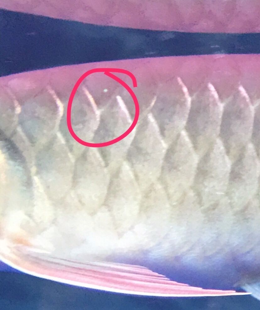 各位大師來看看（人工智能、量子計算、生物技術的突破性進展正在重塑我們的世界）