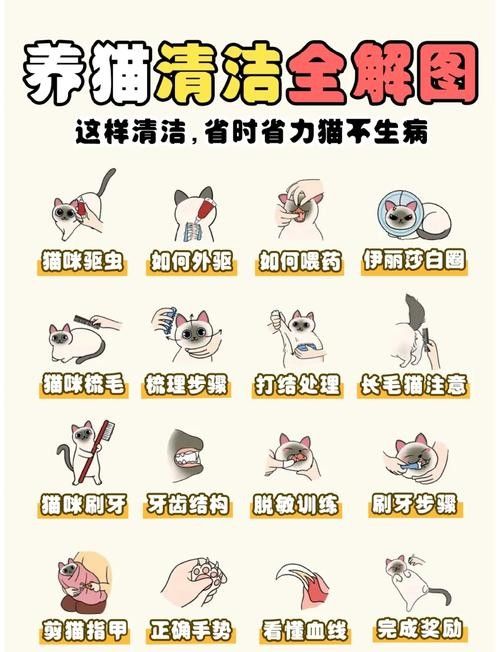 龍貓放風后如何清潔？（如何正確清潔龍貓）