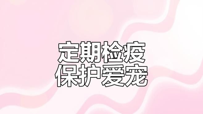 如何預防紅龍魚患病（紅龍魚怎么養(yǎng)）
