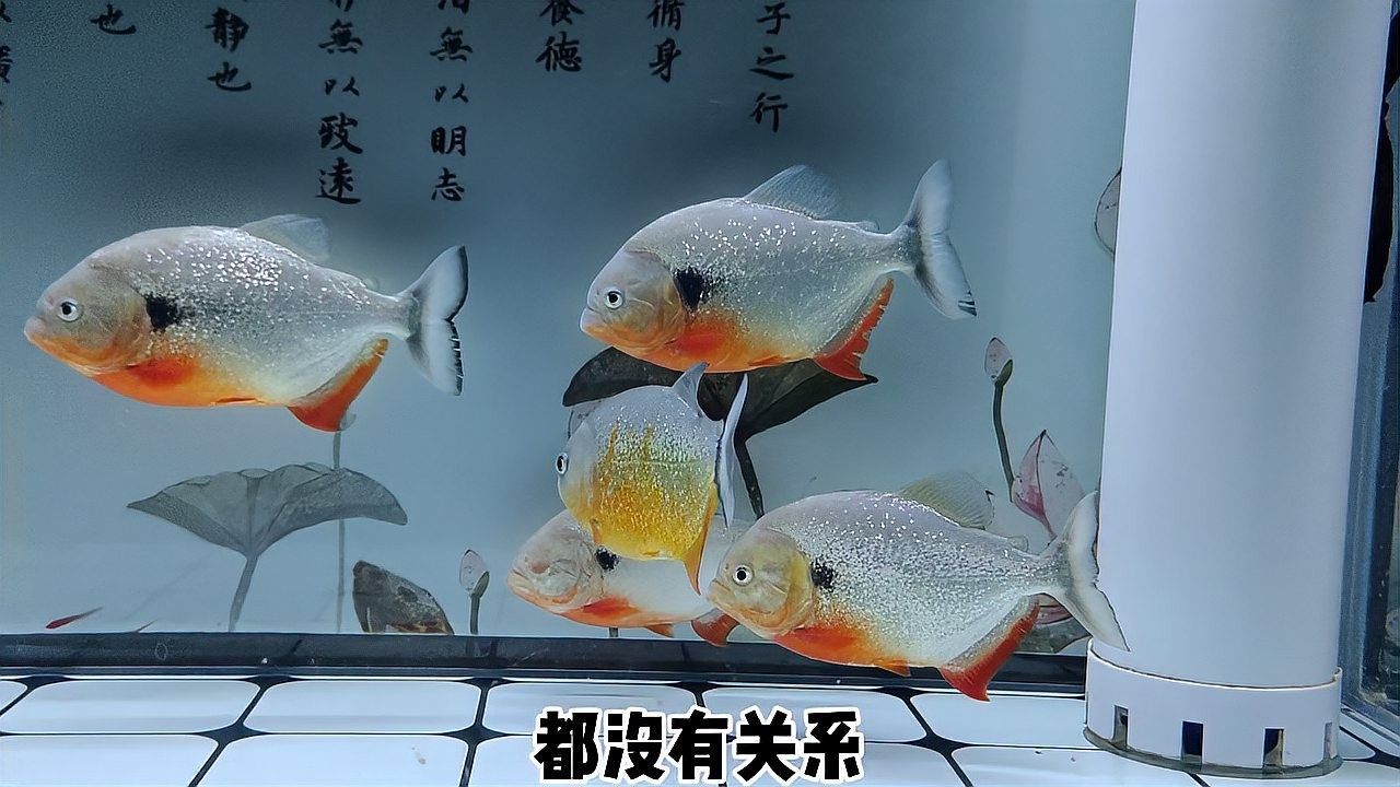清洗后的濾材如何消毒？（濾材清洗和消毒是確保產品質量和衛生安全的關鍵步驟）