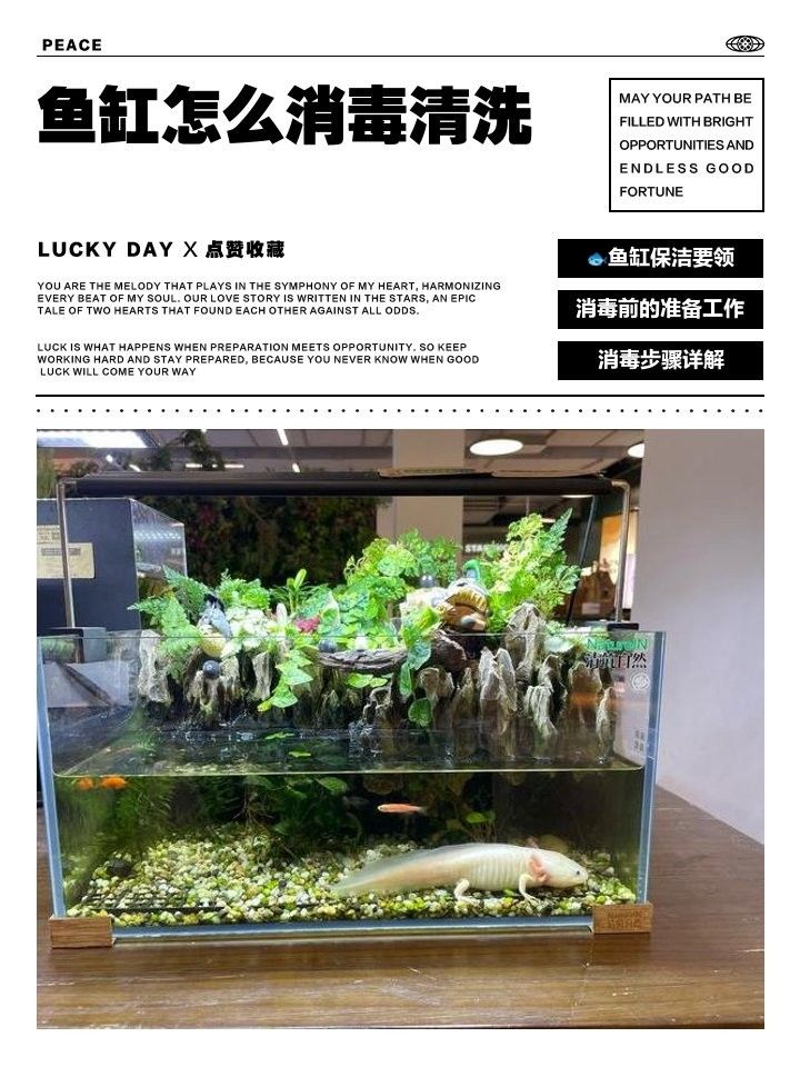 清洗后的濾材如何消毒？（濾材清洗和消毒是確保產品質量和衛生安全的關鍵步驟）