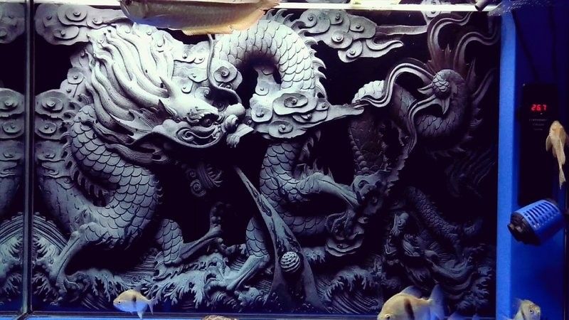 龍魚交流微信群如何加入（如何加入龍魚交流微信群？）