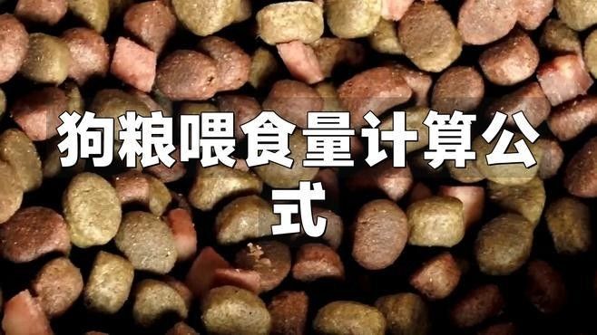 如何判斷投喂量是否合適？（如何判斷動物投喂量是否合適） 如何判斷投喂量是否合適？（如何判斷動物投喂量是否合適） 龍魚百科 第7張