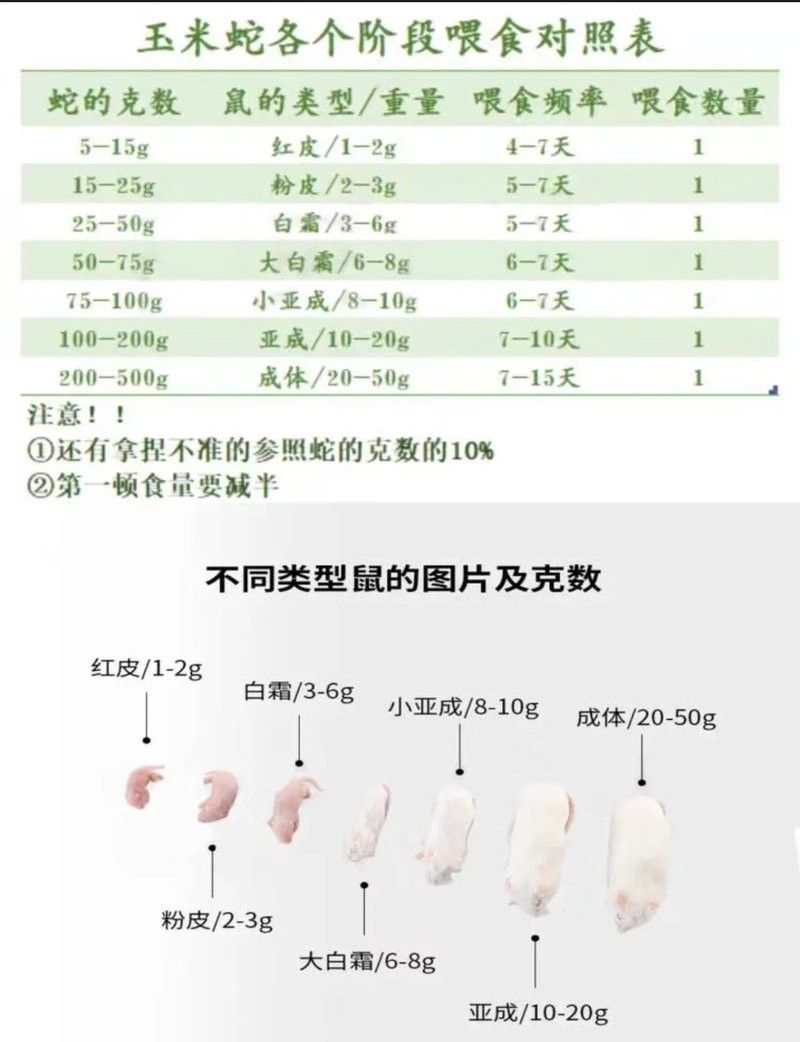如何判斷投喂量是否合適？（如何判斷動物投喂量是否合適） 如何判斷投喂量是否合適？（如何判斷動物投喂量是否合適） 龍魚百科 第13張