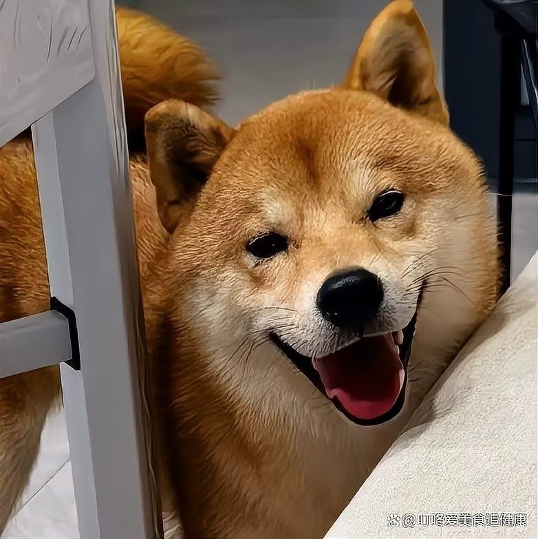 如何判斷投喂量是否合適？（如何判斷動物投喂量是否合適） 如何判斷投喂量是否合適？（如何判斷動物投喂量是否合適） 龍魚百科 第15張