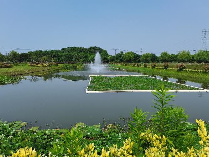 如何聯系吳江區中新國際龍魚場（吳江區中新國際龍魚場怎么聯系？）