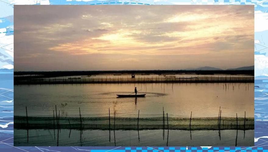 如何聯系吳江區中新國際龍魚場（吳江區中新國際龍魚場怎么聯系？）