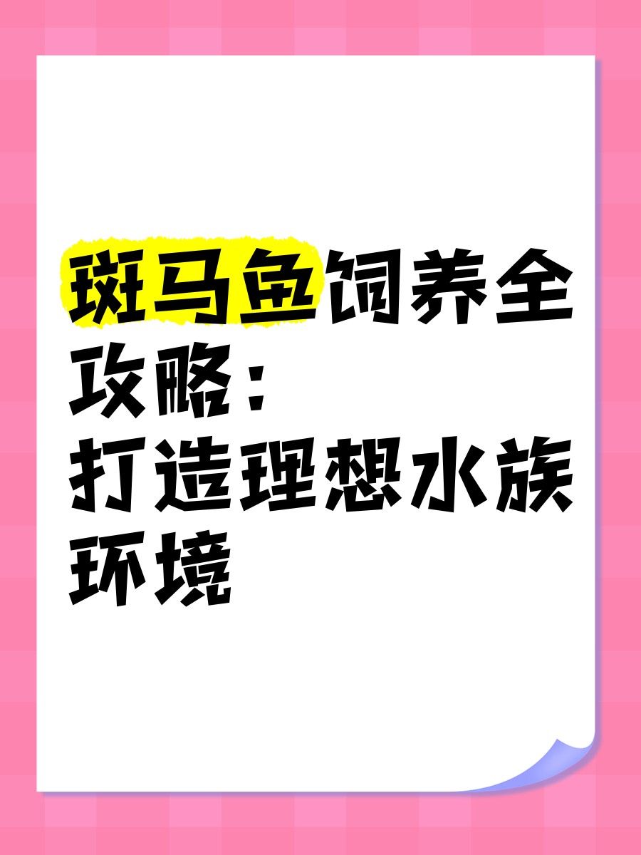 如何為斑馬魚和龍魚提供足夠的空間（如何為斑馬魚和龍魚提供足夠空間的指南）