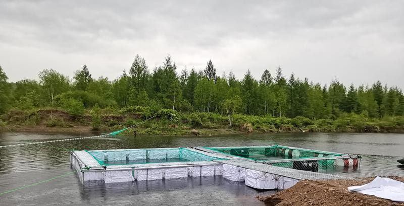漠河市壯林冷水魚養殖基地的規模有多大（壯林冷水魚養殖基地的發展規劃，漠河市還有哪些冷水魚養殖基地？）