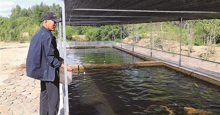 漠河市壯林冷水魚養殖基地的規模有多大（壯林冷水魚養殖基地的發展規劃，漠河市還有哪些冷水魚養殖基地？）