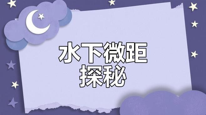 推薦幾款適合拍攝金龍魚的鏡頭（京東魚眼單反鏡頭排行榜京東魚眼單反鏡頭排行榜）