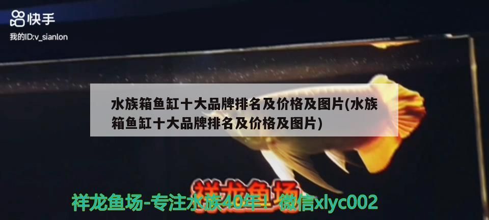 詳細(xì)閱讀:水族箱魚缸十大品牌排名及價(jià)格及圖片(水族箱魚缸十大品牌排名及價(jià)格及圖片) 水族箱魚缸十大品牌排名及價(jià)格及圖片(水族箱魚缸十大品牌排名及價(jià)格及圖片)
