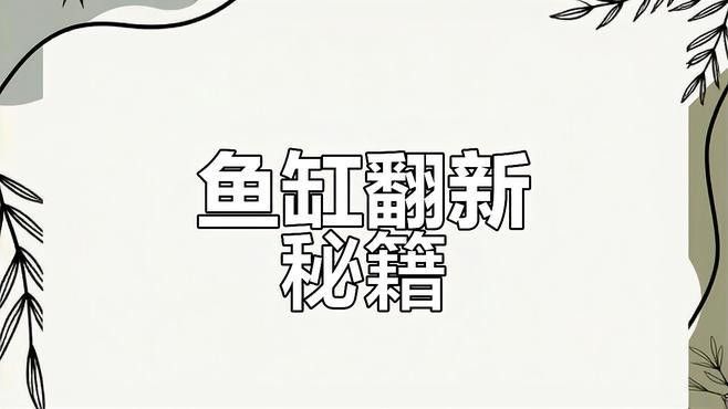 如何升級魚缸尺寸？（四海游俠笑江湖魚缸升級魚缸尺寸時(shí)局觀測站全解析）