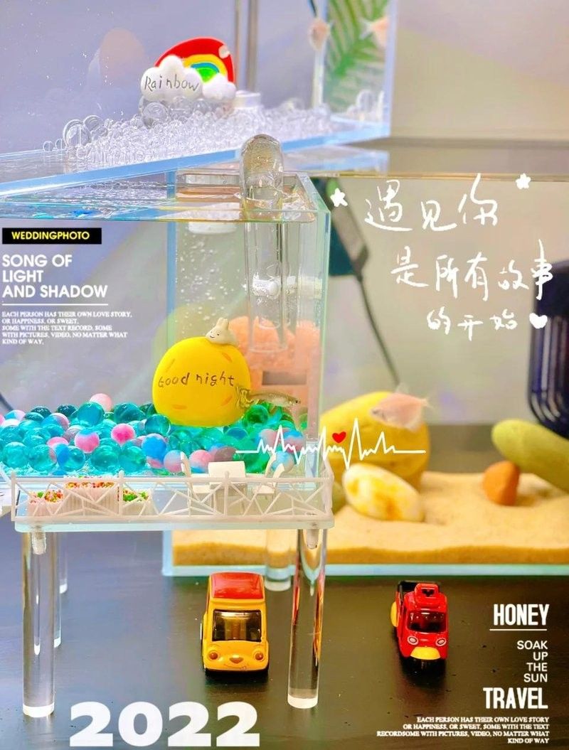 如何升級魚缸尺寸？（四海游俠笑江湖魚缸升級魚缸尺寸時(shí)局觀測站全解析）