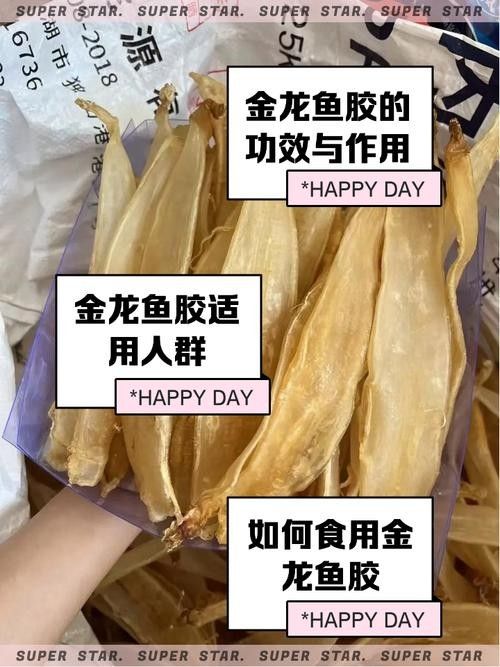 如何辨別真假大金龍魚膠？