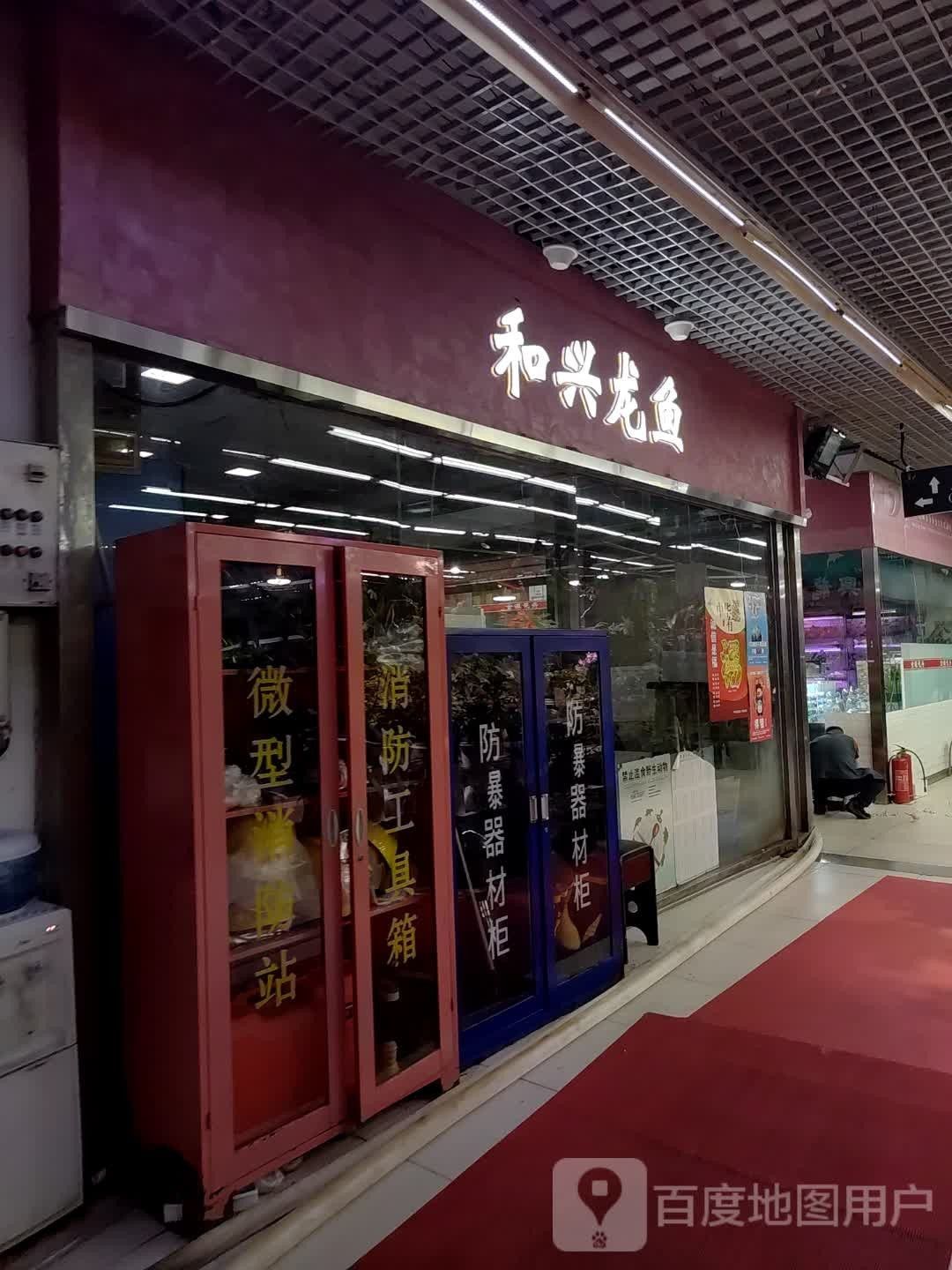 給我推薦幾家信譽好的龍魚商家（北京哪里有信譽良好的龍魚商家？）
