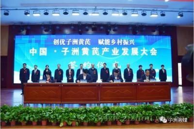 金龍魚疾病預防措施，金龍魚疾病預防措施介紹