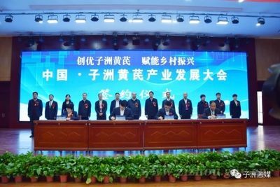 金龍魚疾病預防措施，金龍魚疾病預防措施介紹