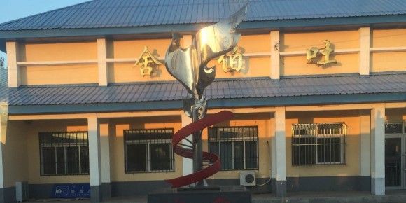 舍伯吐哪個水族館龍魚好？祥龍魚場龍魚