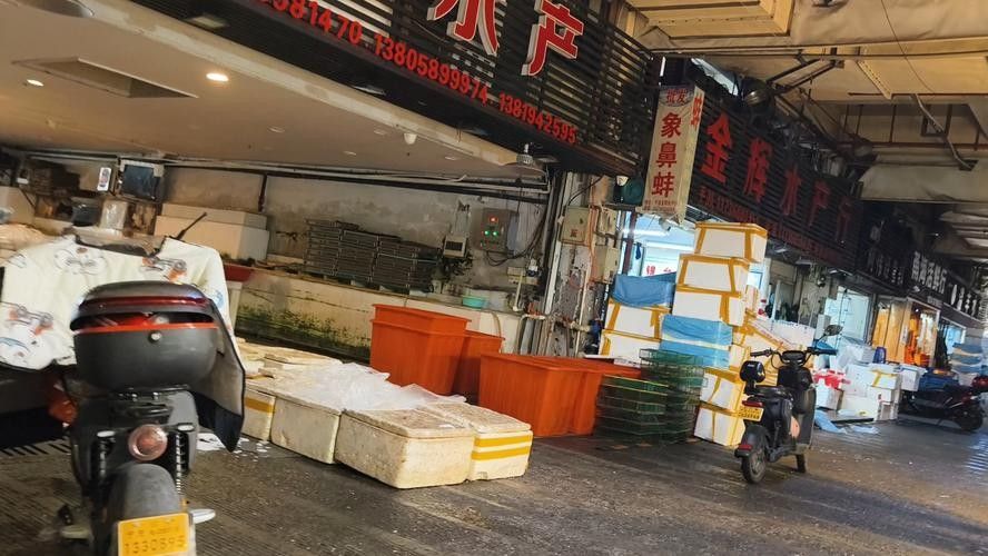 如何聯(lián)系寧波龍魚市場管理方？（如何聯(lián)系寧波龍魚市場管理方） 如何聯(lián)系寧波龍魚市場管理方？（如何聯(lián)系寧波龍魚市場管理方） 龍魚百科 第1張
