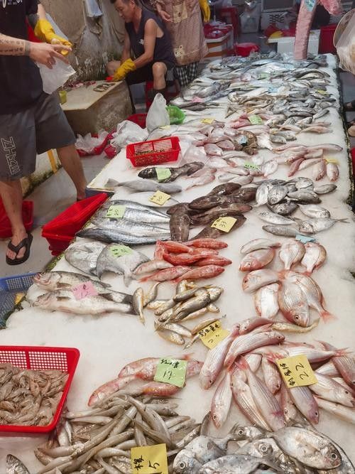 如何聯(lián)系寧波龍魚市場管理方？（如何聯(lián)系寧波龍魚市場管理方） 如何聯(lián)系寧波龍魚市場管理方？（如何聯(lián)系寧波龍魚市場管理方） 龍魚百科 第4張