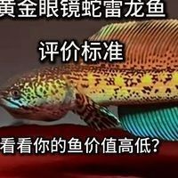 哪種顏色的雷龍魚最值錢（什么顏色的雷龍魚最值錢？）