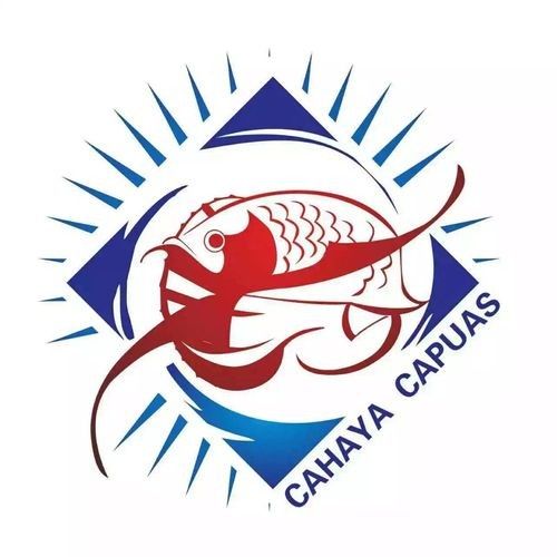 請提供更多紅龍魚品牌信息（深圳鑫龍代理印尼五大頂級紅龍品牌排名第一名星芒生圖社）