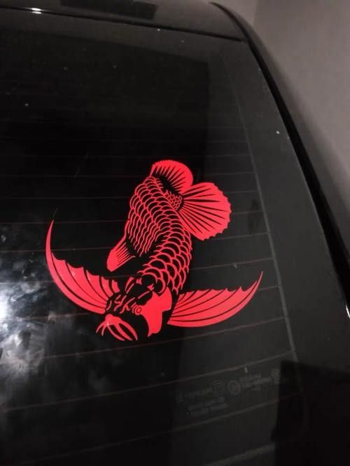 請提供更多紅龍魚品牌信息（深圳鑫龍代理印尼五大頂級紅龍品牌排名第一名星芒生圖社）