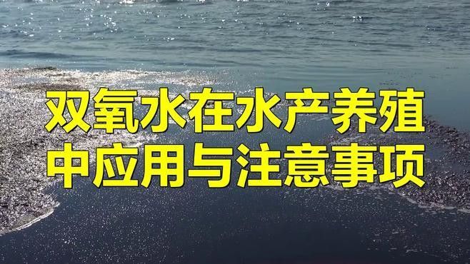如何用雙氧水消毒活餌？ 如何用雙氧水消毒活餌？ 龍魚(yú)百科 第1張