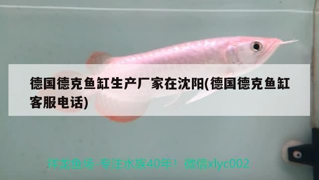 魯南水族批發市場（山東魯南水族批發市場）