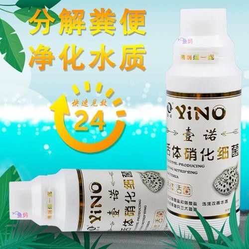 龍魚趴缸原因及解決方法圖片大全視頻（龍魚趴缸是什么原因及應對方法龍魚趴缸的原因及應對方法）