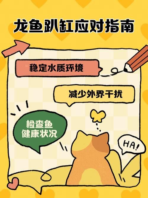 龍魚趴缸原因及解決方法圖片大全視頻（龍魚趴缸是什么原因及應對方法龍魚趴缸的原因及應對方法）