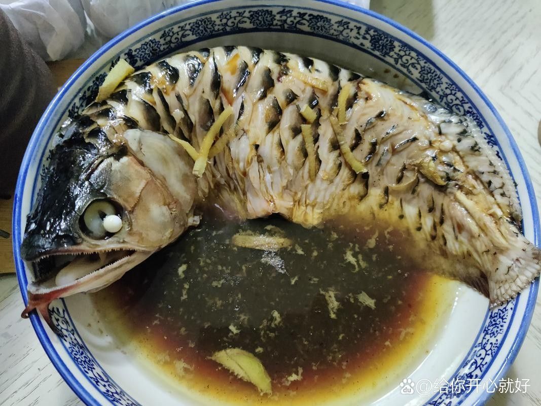 渾源哪個水族館龍魚好？祥龍魚場龍魚（廣州龍魚祥龍魚場養龍魚那么久,您懂龍魚文化嗎）