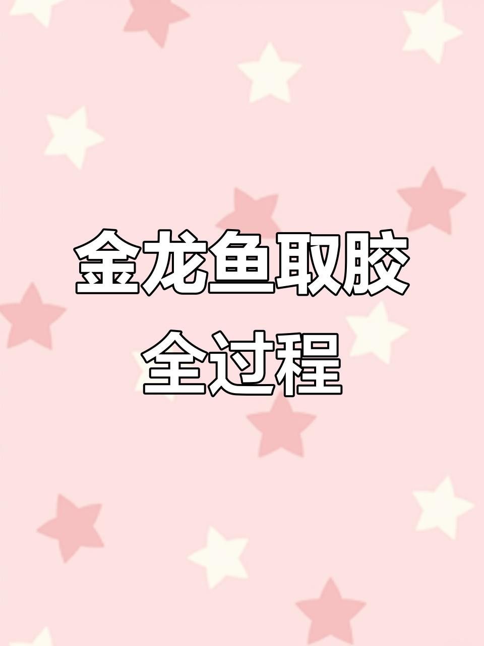 金龍魚蛟（金龍魚膠是什么魚堂主粉絲）