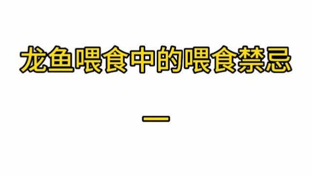 龍魚最忌三種食物（龍魚喂養(yǎng)禁忌,別把你的魚喂死了才后悔）
