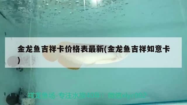 金龍魚吉祥卡價格表最新(金龍魚吉祥如意卡)（金龍魚吉祥卡價格表）