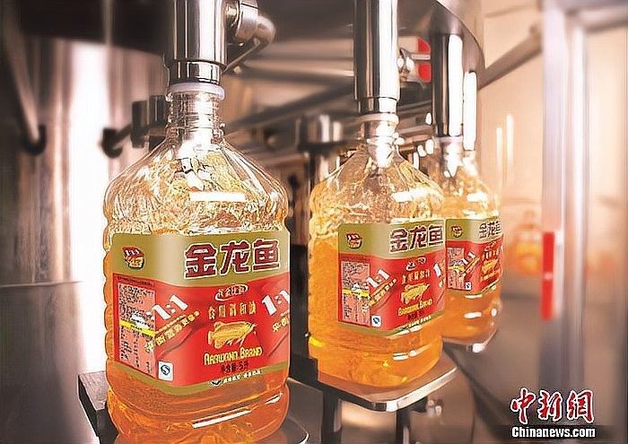 金龍魚上市的進程如何（金龍魚上市歷程）