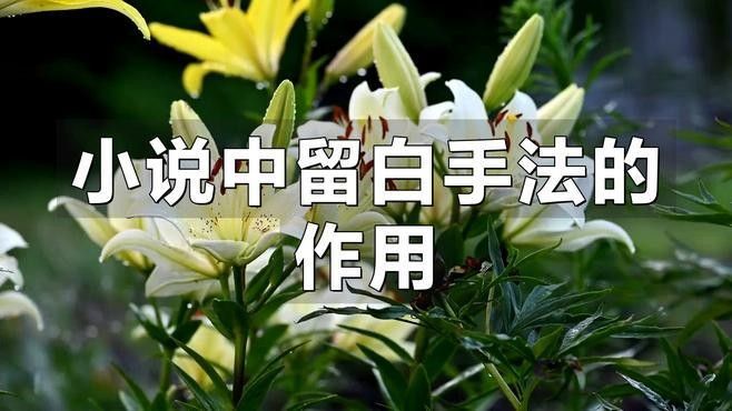 古龍小說中的留白有何作用？（古龍小說中的留白手法對讀者有何影響？）