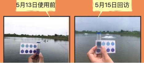 紅龍魚的分類有哪些：紅龍魚的分類有哪些，