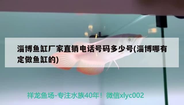 淄博魚缸廠家直銷電話號碼多少號(淄博哪有定做魚缸的)（淄博哪有定做魚缸的、淄博魚缸廠家直銷電話號碼多少號的介紹）