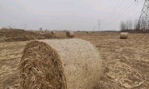 沈北喂魚的地方在哪（北喂魚的地方指的是位于遼寧省沈陽市沈北新區(qū)的一個(gè)地方）