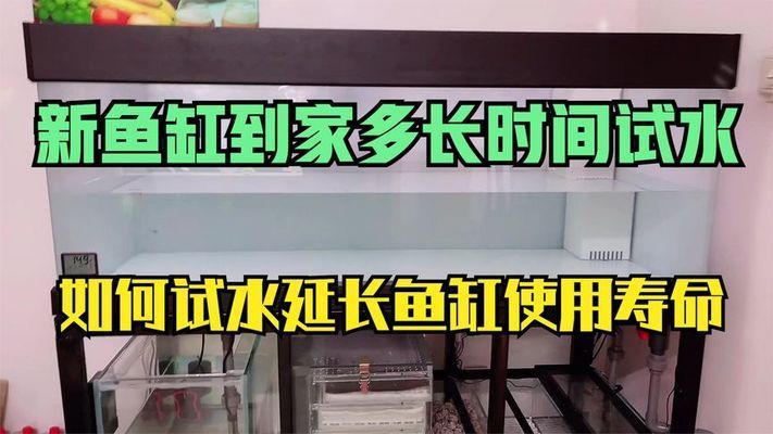 龍魚眼睛里面有白色的東西是什么情況（龍魚眼睛里面有白色的東西是什么情況啊）（龍魚眼睛里有白色物質是什么情況，龍魚眼睛里有白色物質是什么）