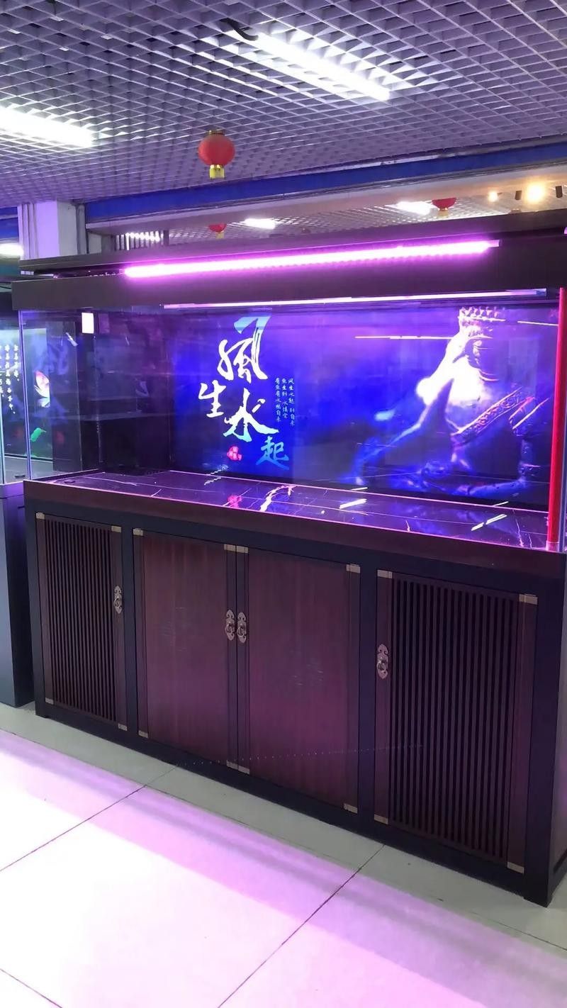 通川哪個水族館龍魚好?祥龍魚場龍魚(通川哪個水族館龍魚好) 龍魚百科 第3張 通川哪個水族館龍魚好?祥龍魚場龍魚(通川哪個水族館龍魚好) 通川哪個水族館龍魚好?祥龍魚場龍魚(通川哪個水族館龍魚好) 龍魚百科 第3張