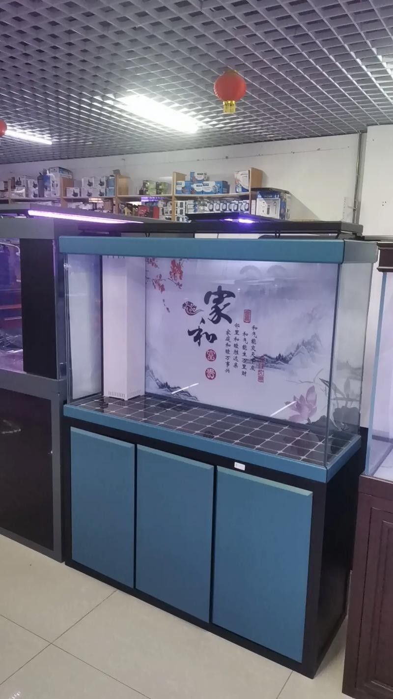 通川哪個水族館龍魚好?祥龍魚場龍魚(通川哪個水族館龍魚好) 龍魚百科 第4張 通川哪個水族館龍魚好?祥龍魚場龍魚(通川哪個水族館龍魚好) 通川哪個水族館龍魚好?祥龍魚場龍魚(通川哪個水族館龍魚好) 龍魚百科 第4張
