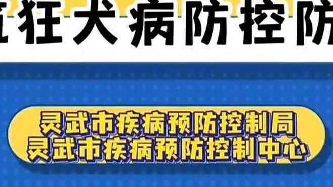 龍貓咬傷會得狂犬病嗎（貓咬傷會得狂犬病嗎？）